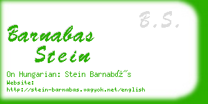 barnabas stein business card